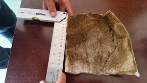 Vorfilter6.jpg