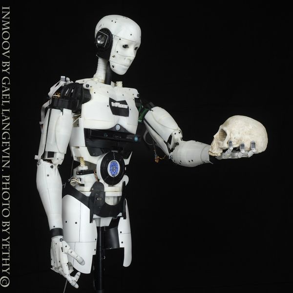 Datei:InMoovSkullSmall-1024x1024.jpg